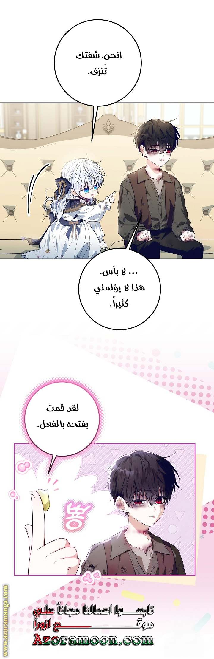 الصفحة 29