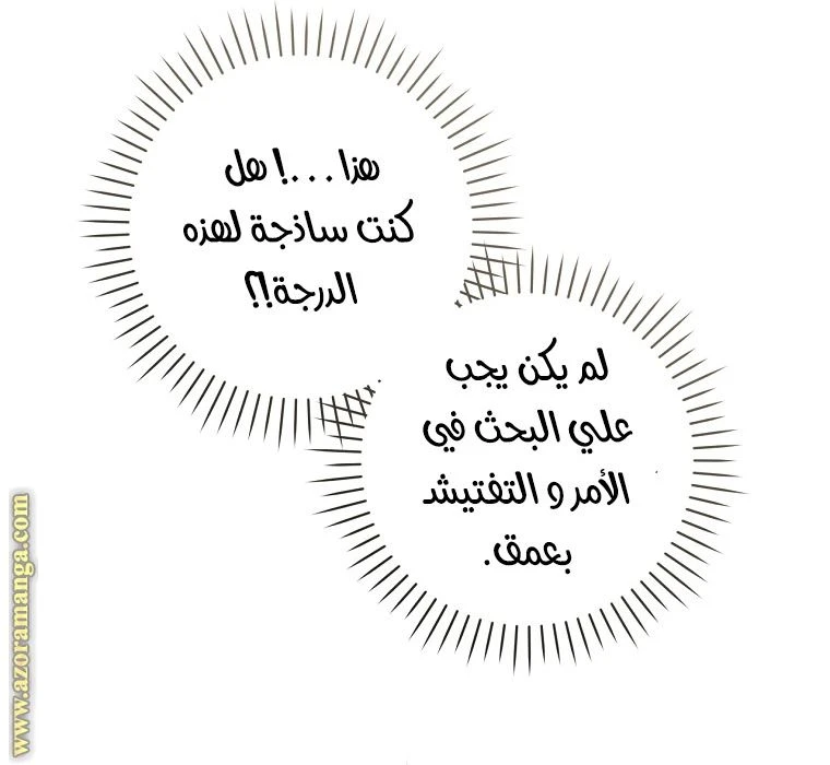الصفحة 23