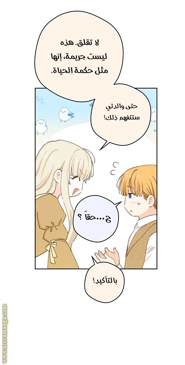 الصفحة 26