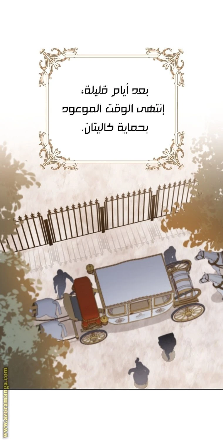 الصفحة 29
