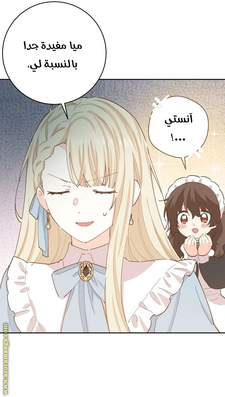 الصفحة 41