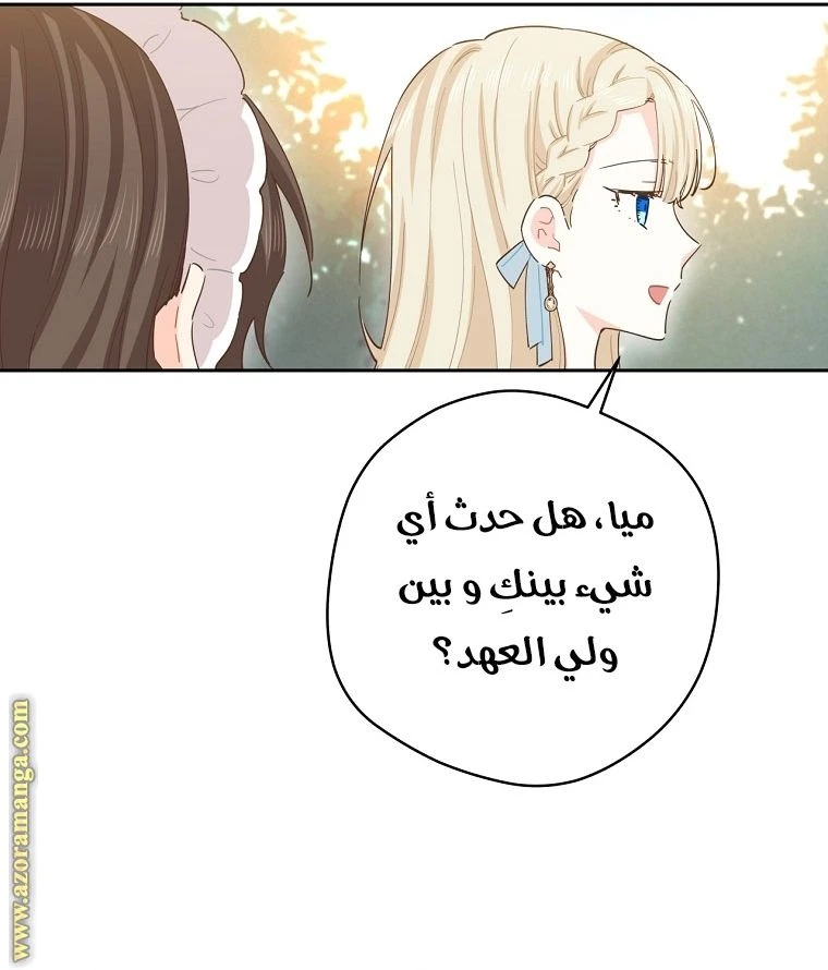الصفحة 45