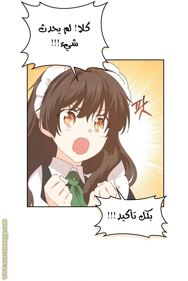 الصفحة 46