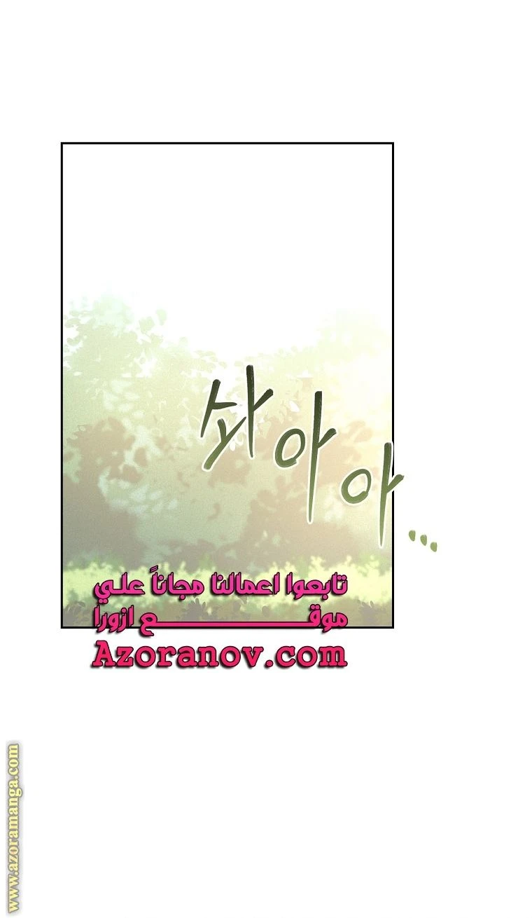 الصفحة 52