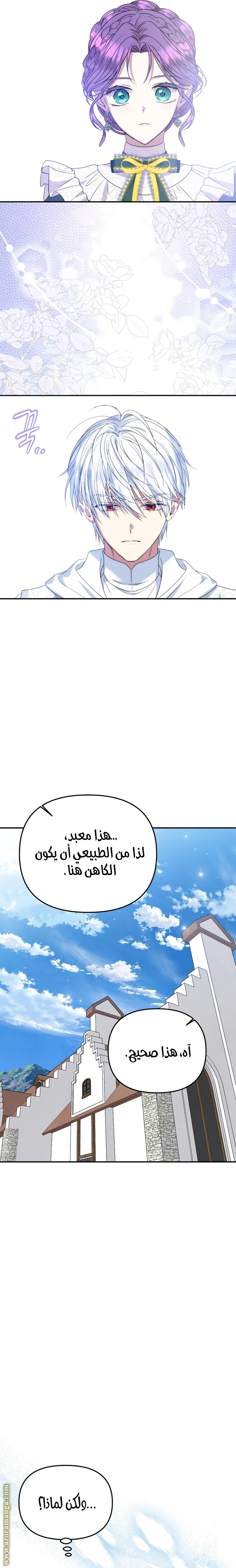 الصفحة 13