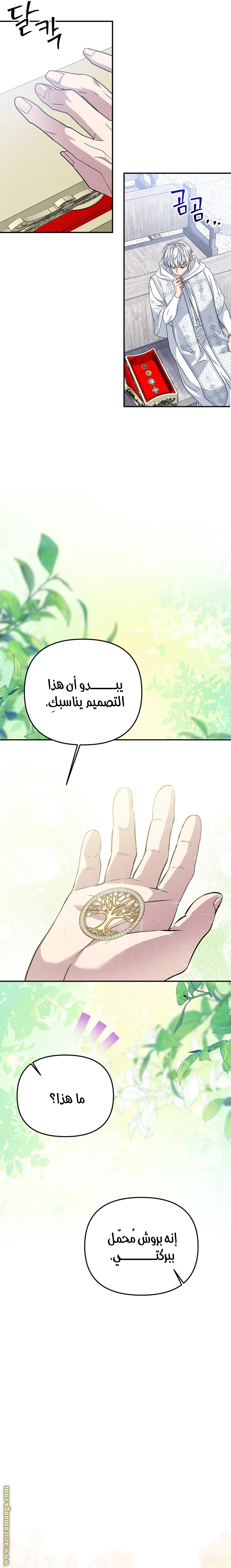 الصفحة 17