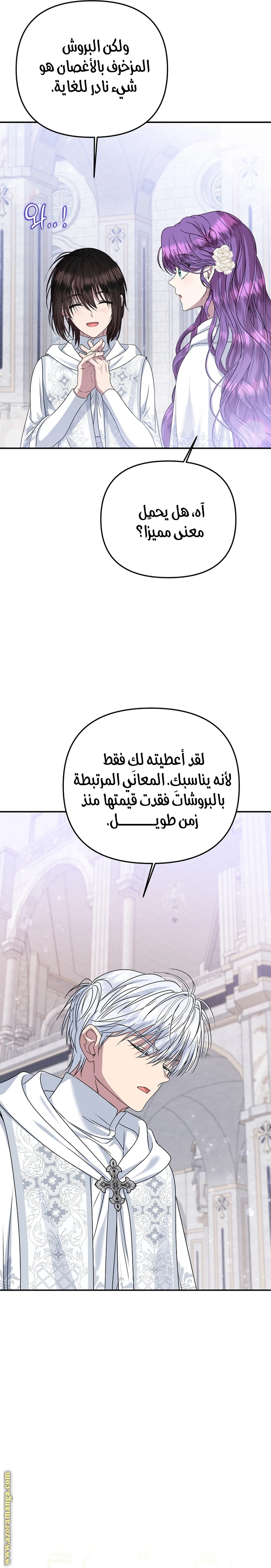 الصفحة 19