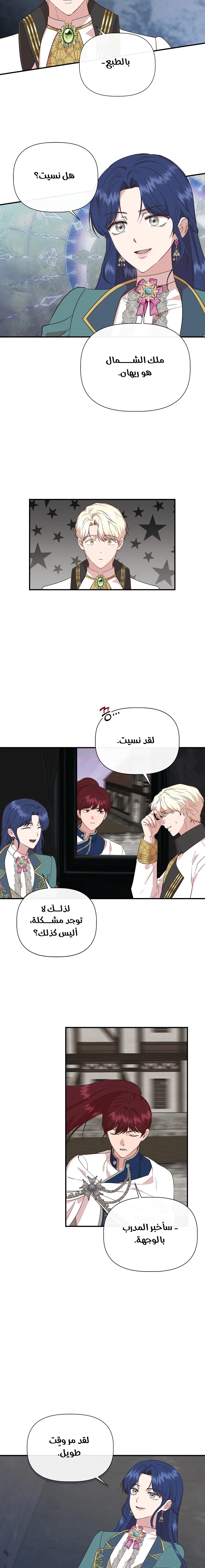 الصفحة 13