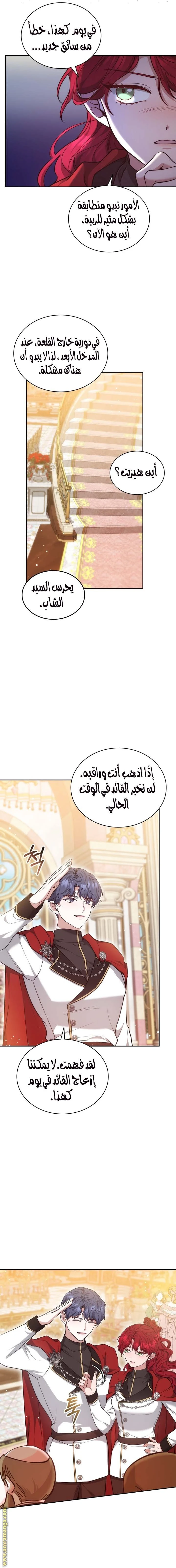 الصفحة 17