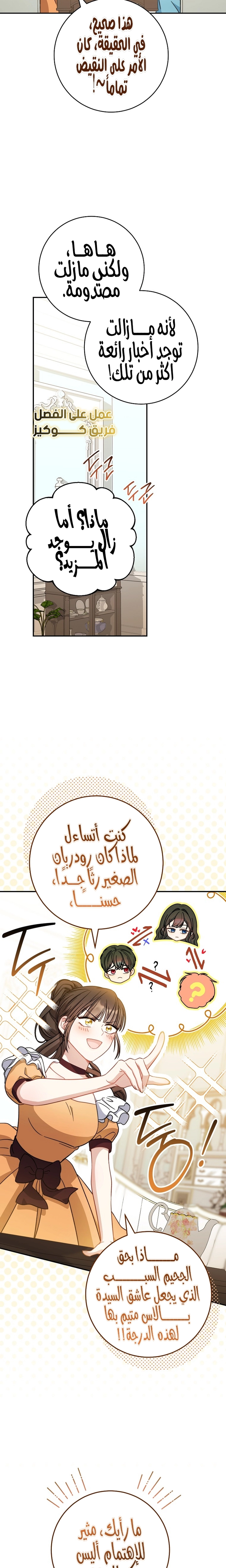 الصفحة 17