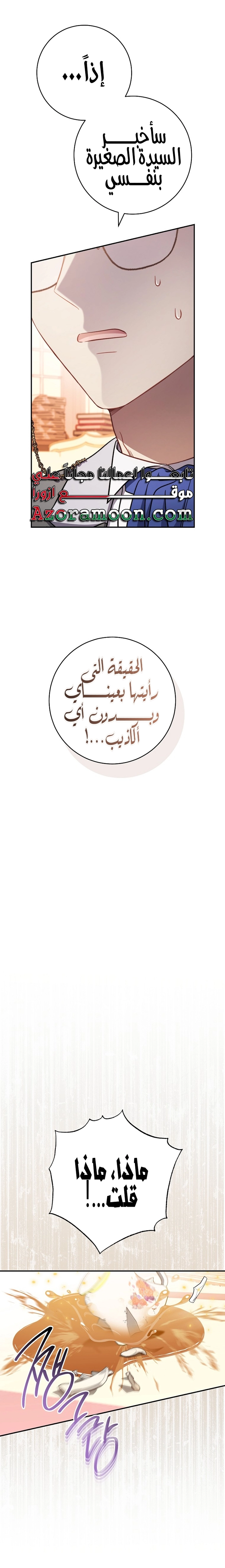 الصفحة 26