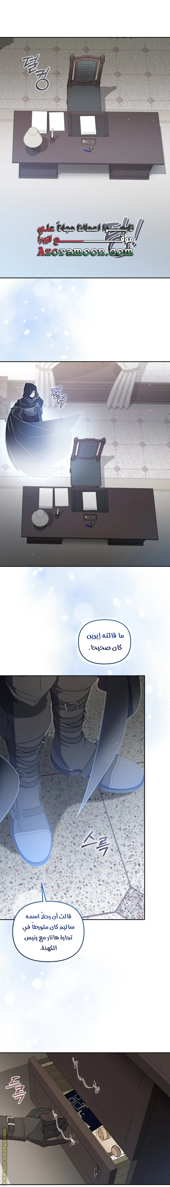 الصفحة 29