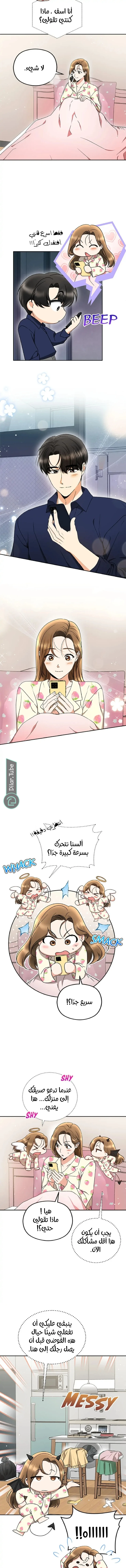 الصفحة 8