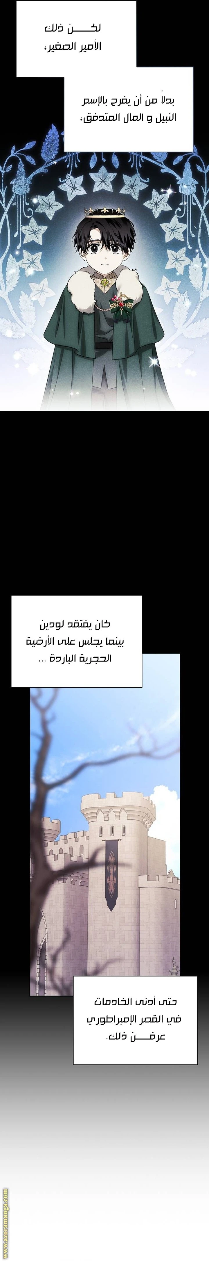 الصفحة 12