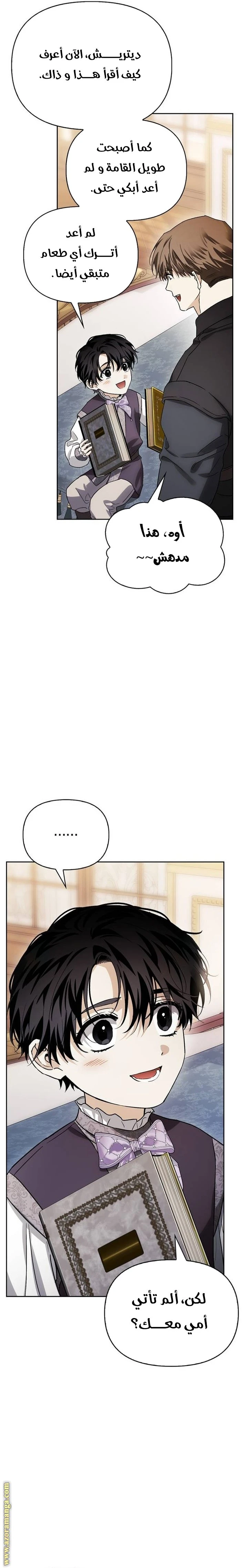 الصفحة 13