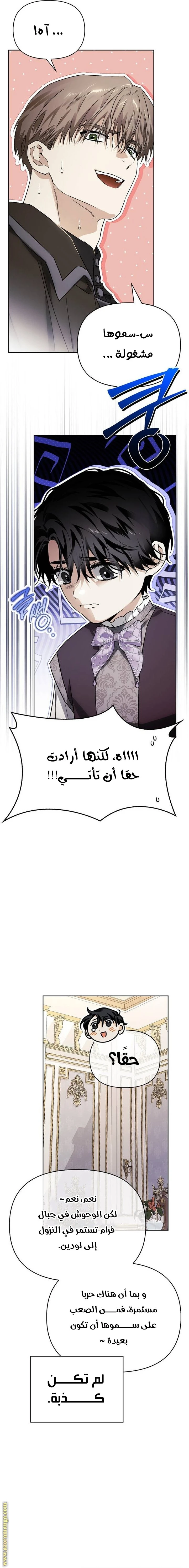 الصفحة 14