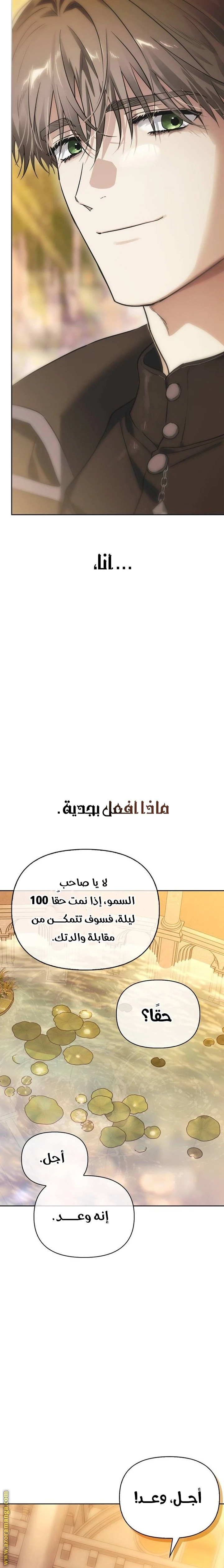 الصفحة 20