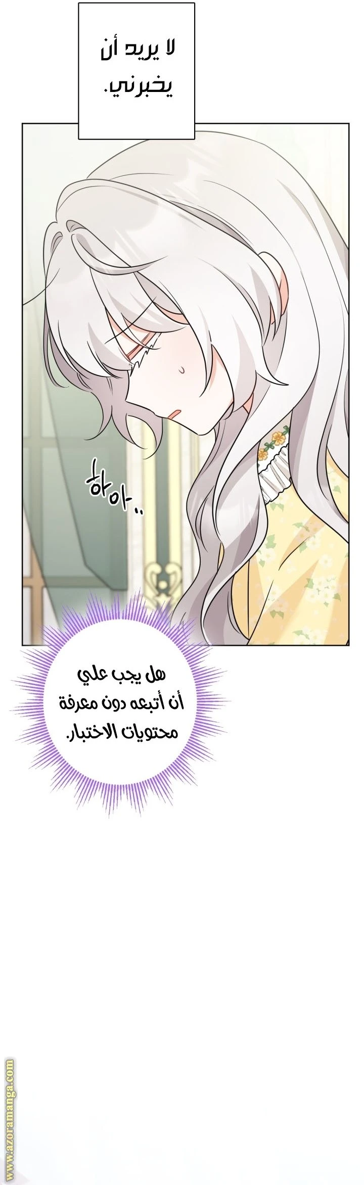 الصفحة 12