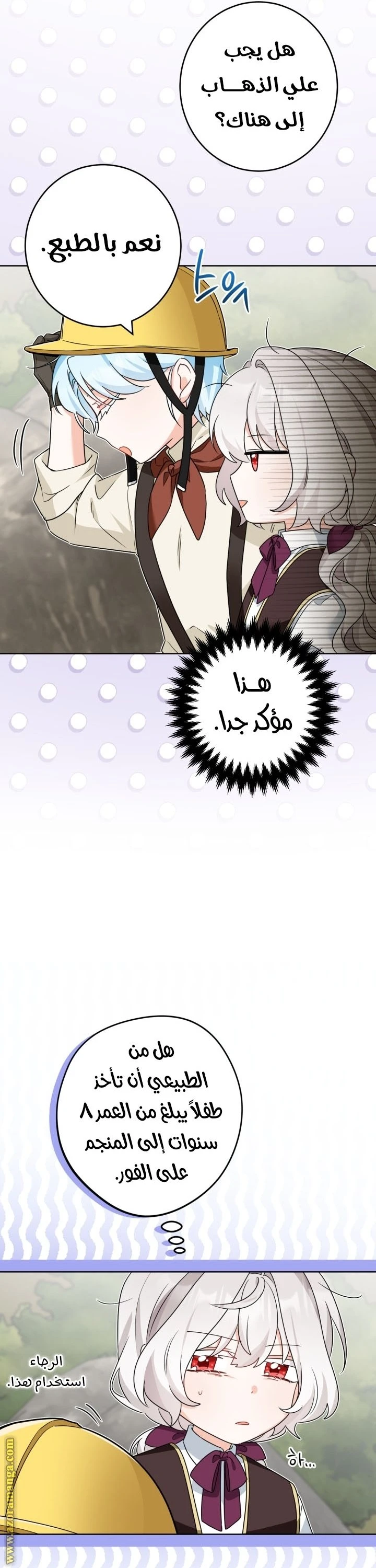 الصفحة 17