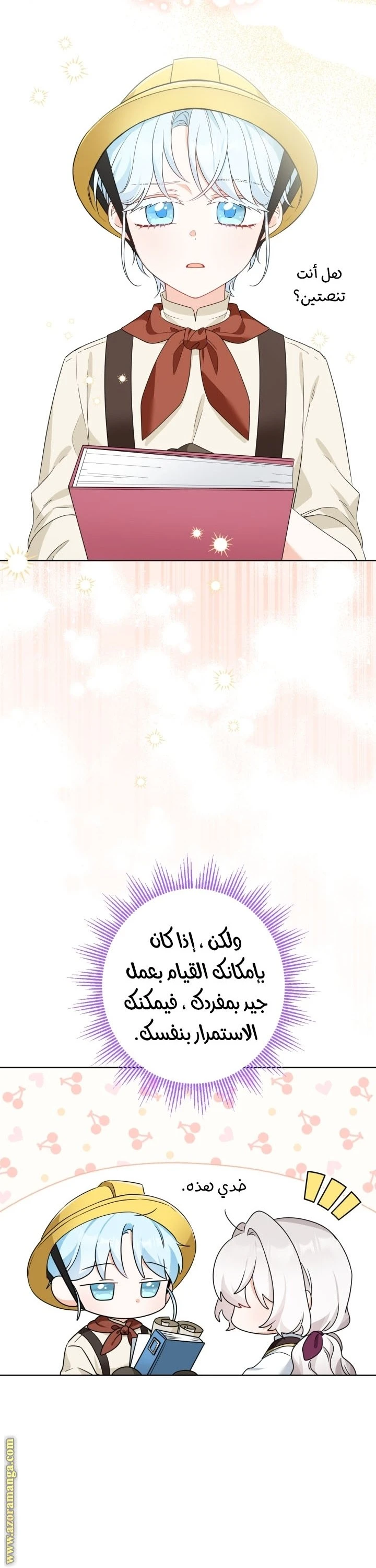 الصفحة 25
