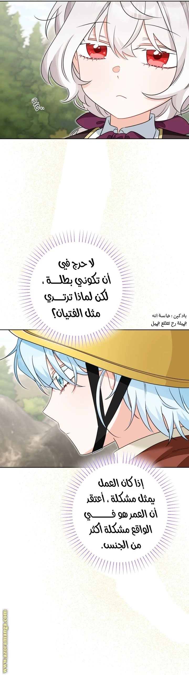 الصفحة 31