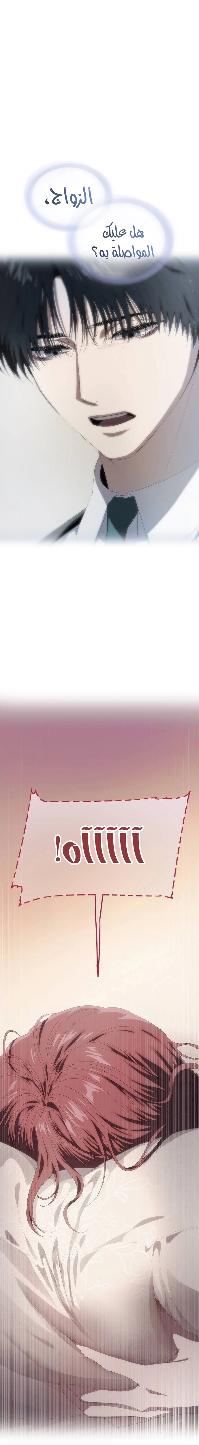 الصفحة 20