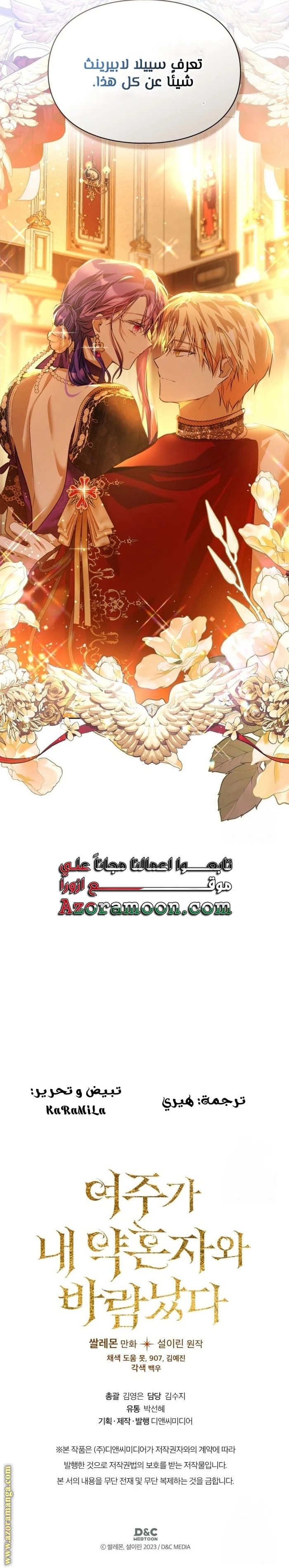 الصفحة 13