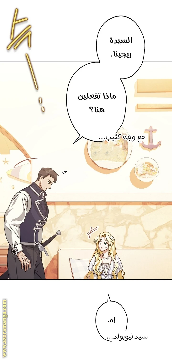 الصفحة 27