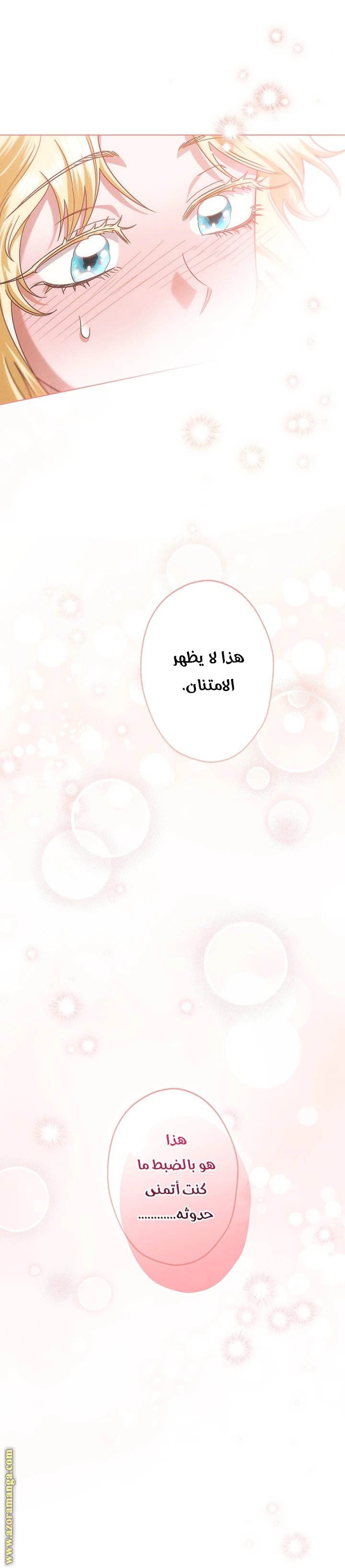 الصفحة 44
