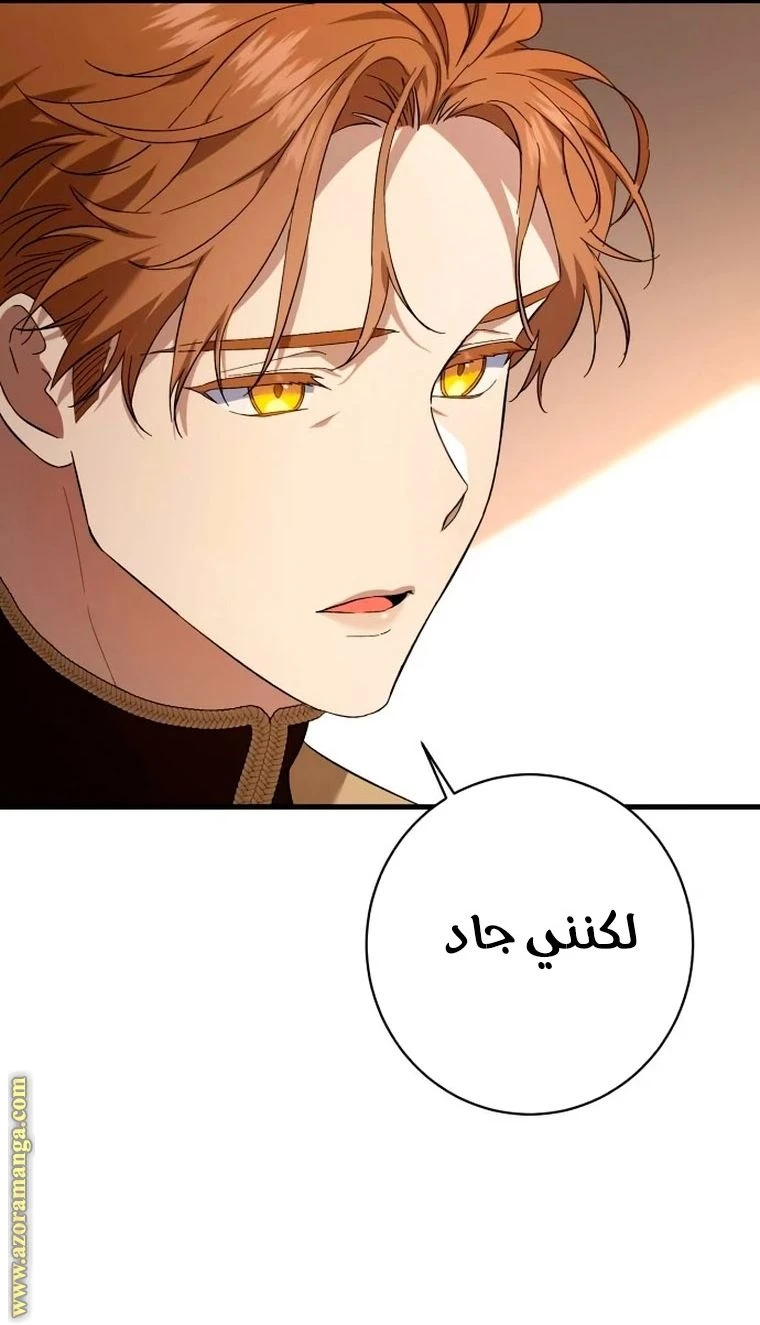 الصفحة 29