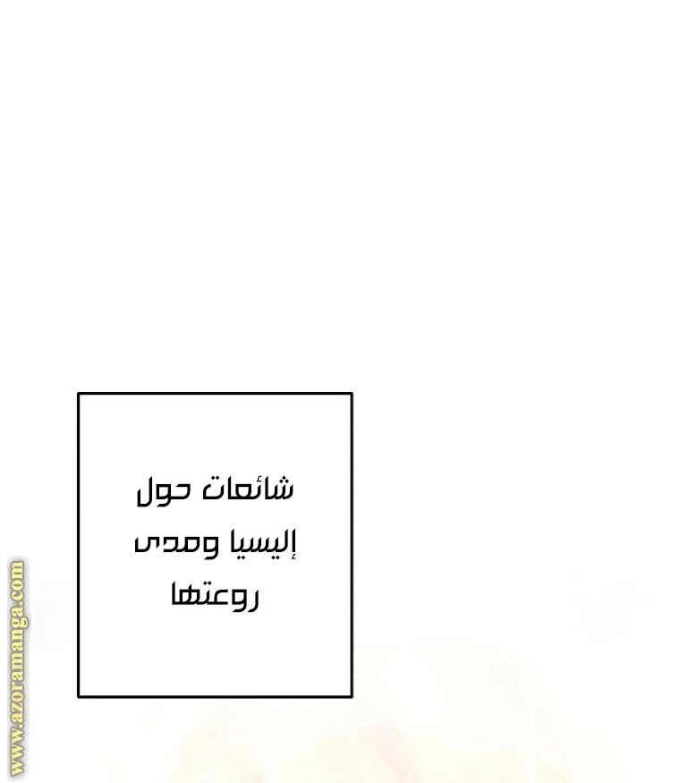الصفحة 31