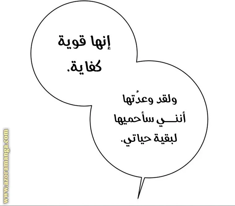 الصفحة 37