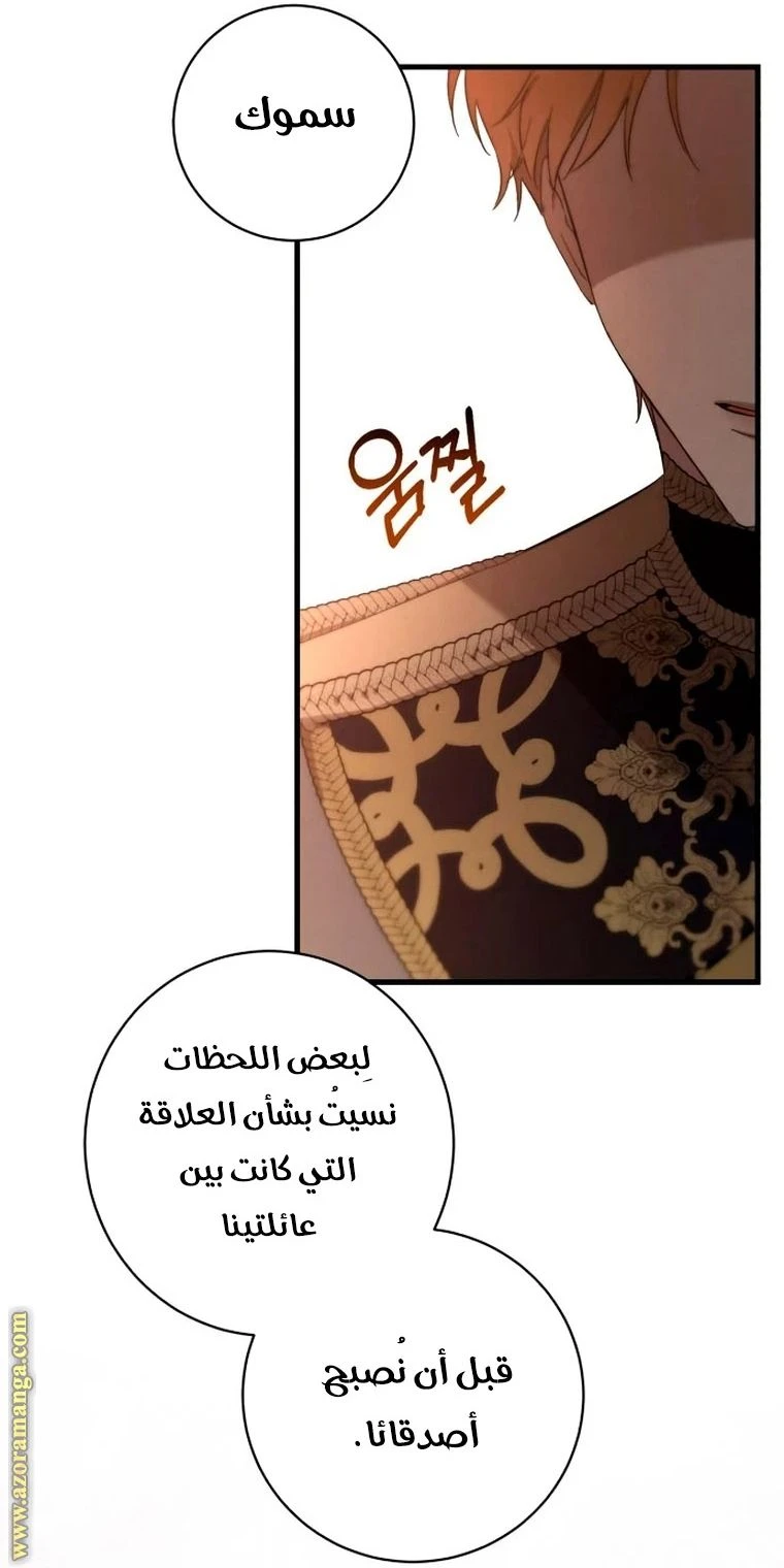 الصفحة 42