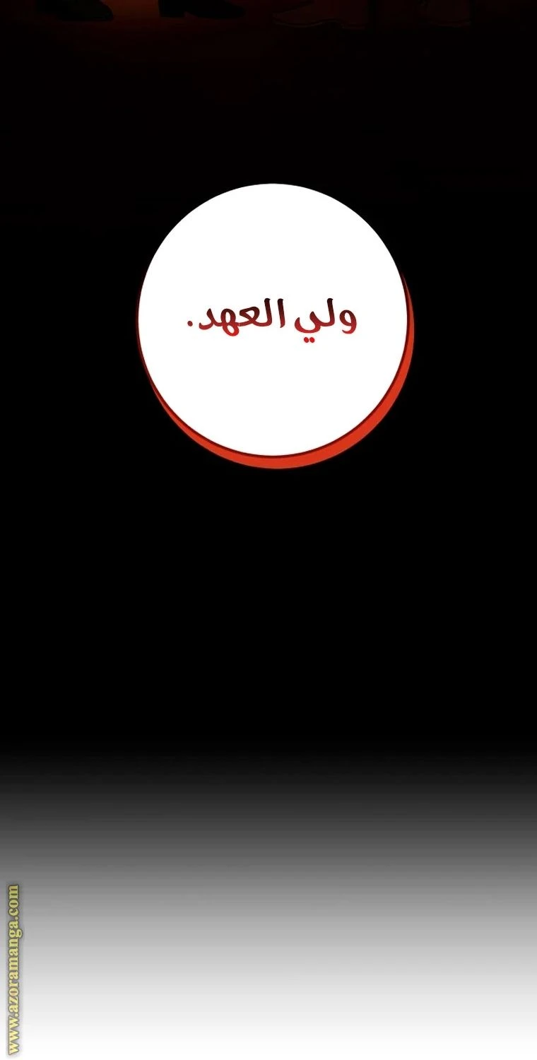 الصفحة 46