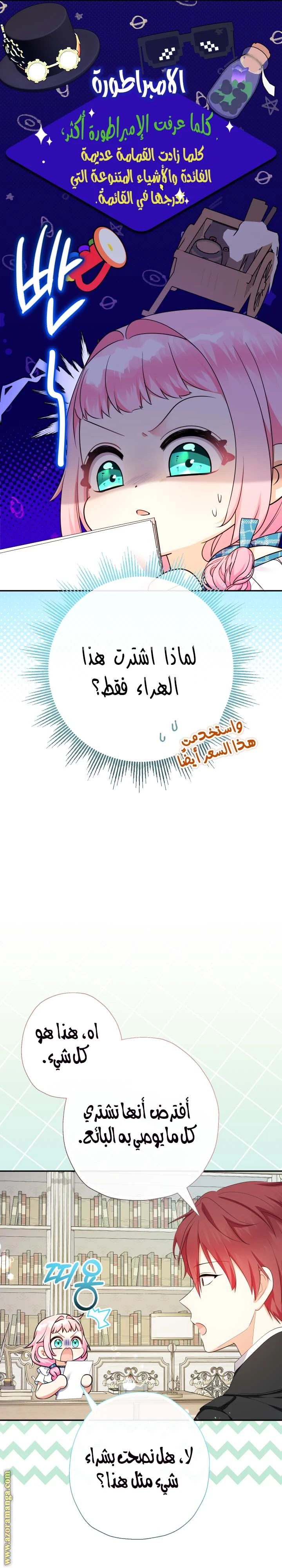 الصفحة 17