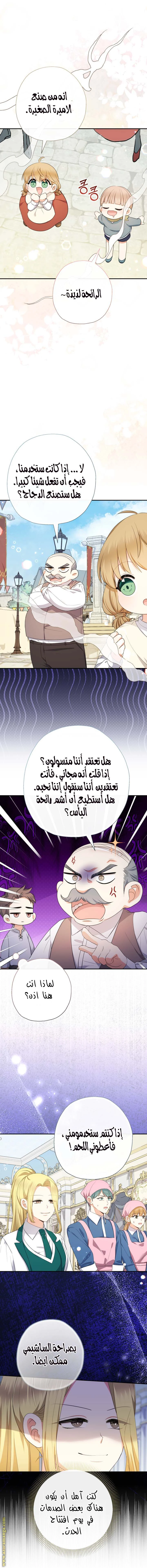 الصفحة 27