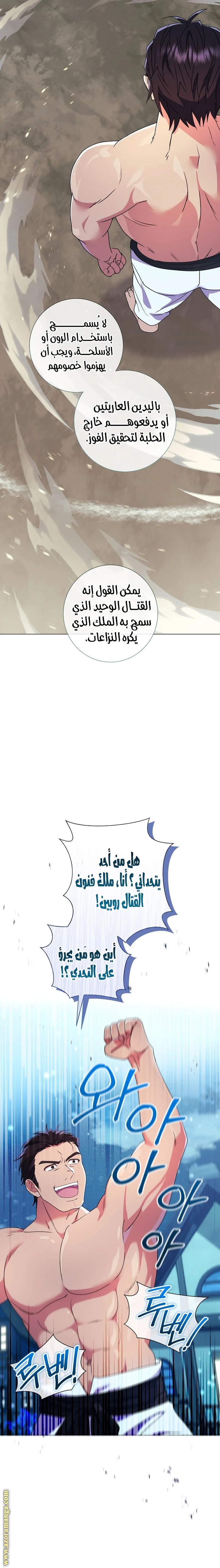 الصفحة 13