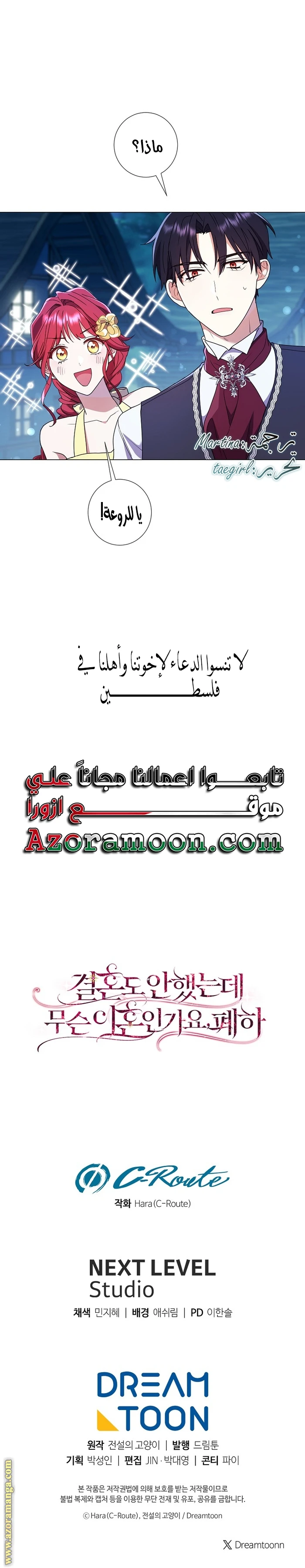 الصفحة 26