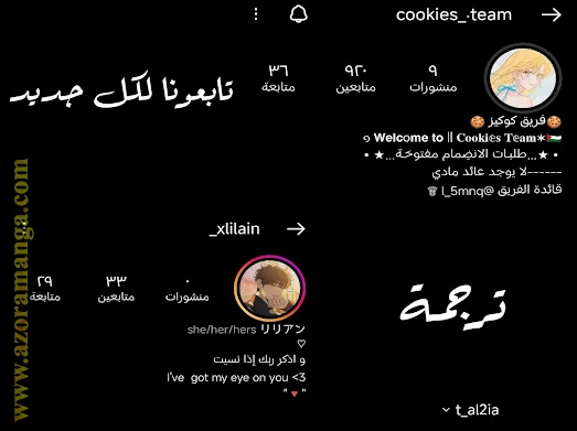 الصفحة 12