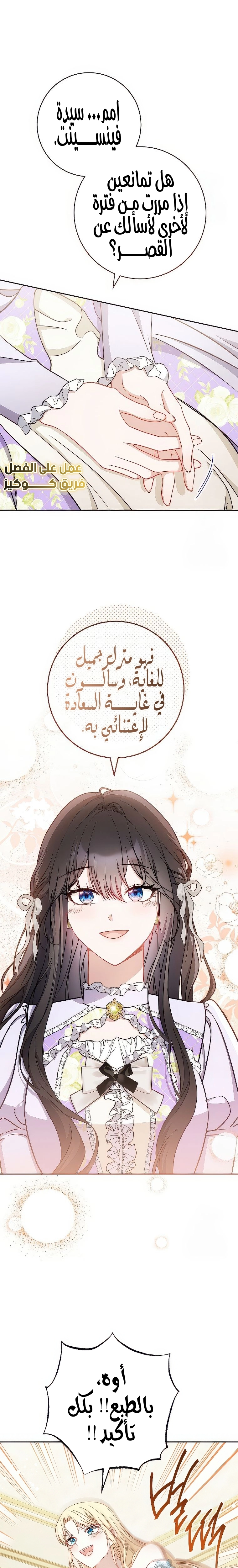 الصفحة 17