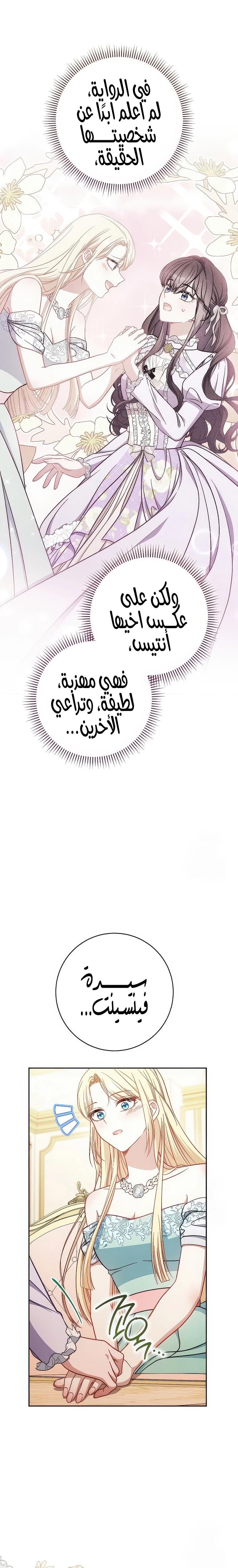 الصفحة 19