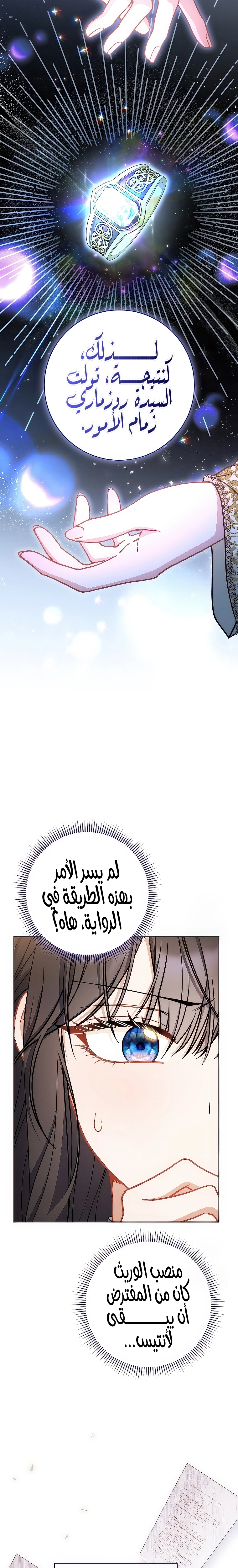 الصفحة 26