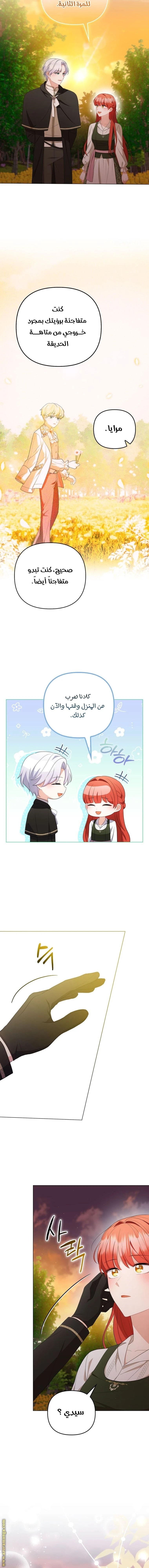 الصفحة 15