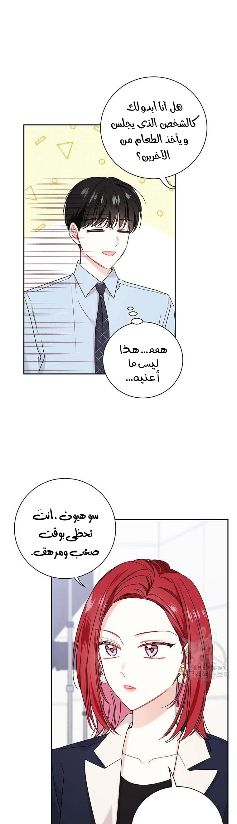 الصفحة 17