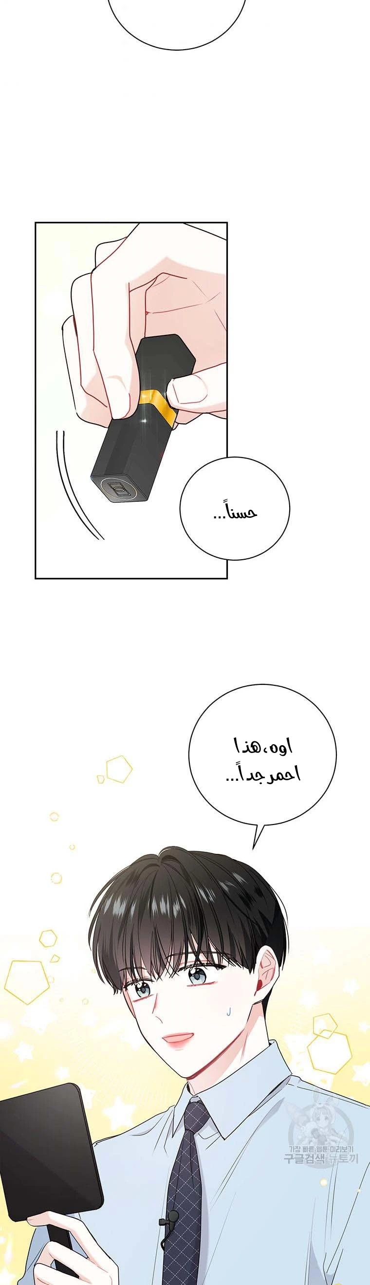 الصفحة 29