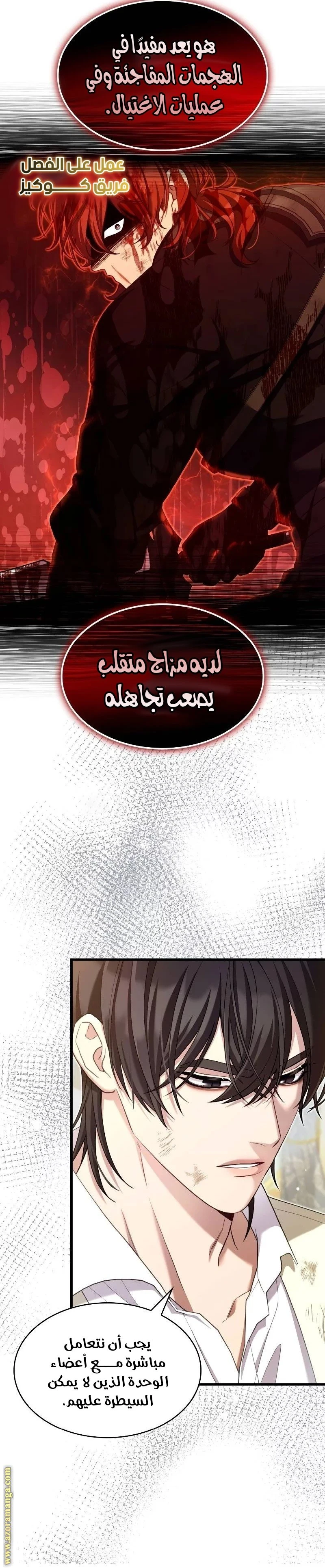 الصفحة 13