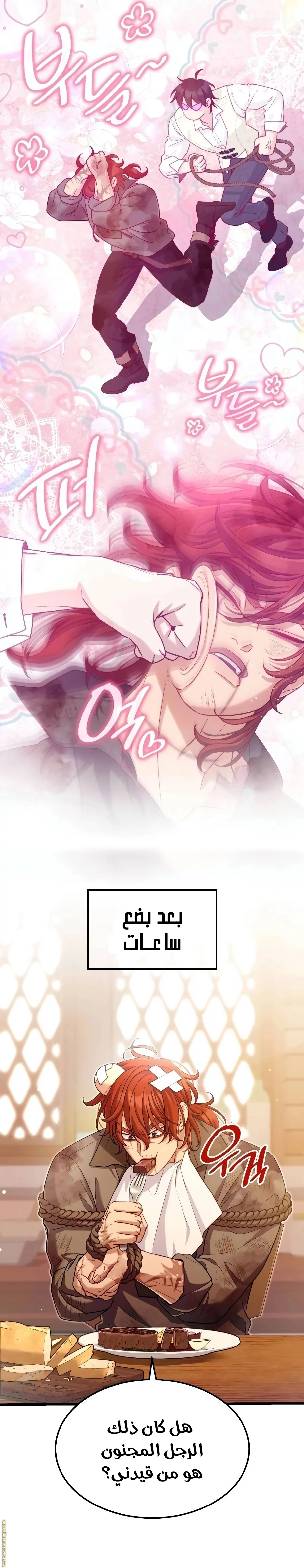 الصفحة 17