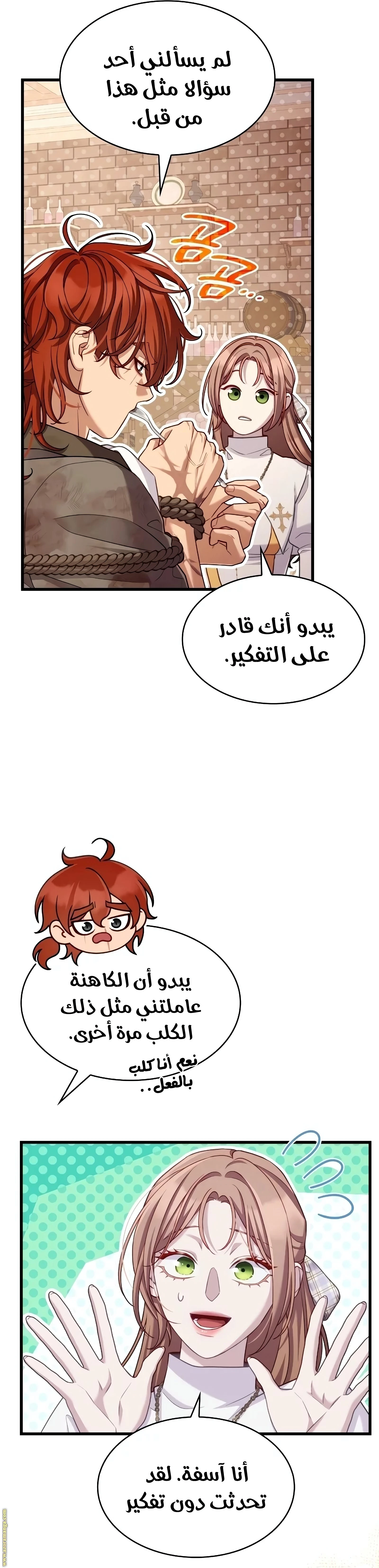 الصفحة 21