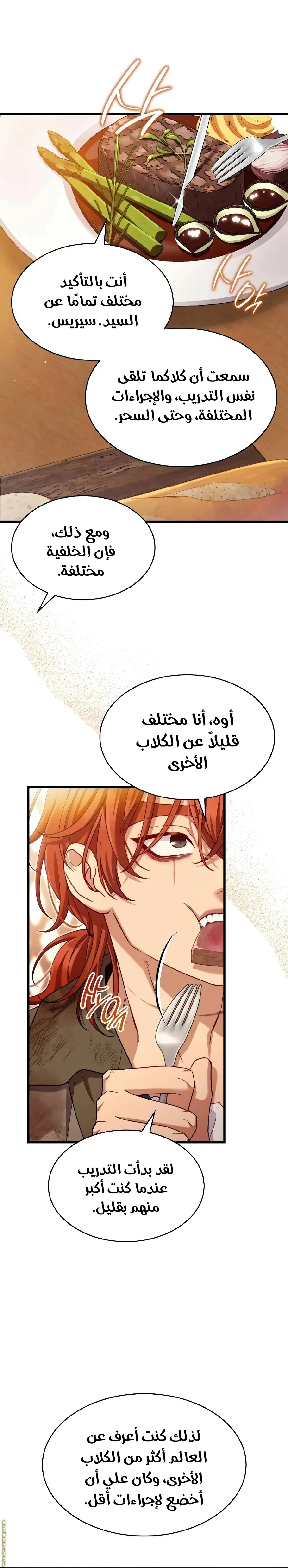 الصفحة 24