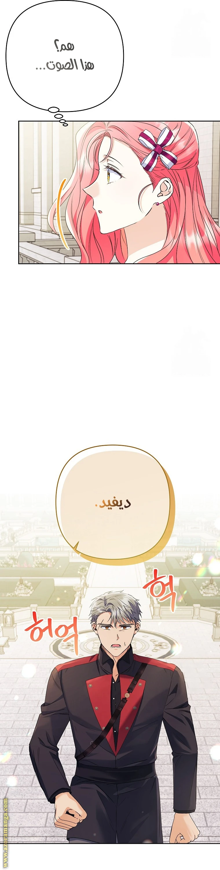 الصفحة 17